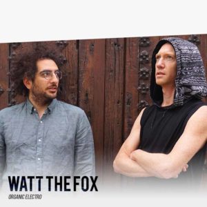 Watt the Fox - Organic Electro